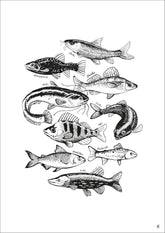 Fische